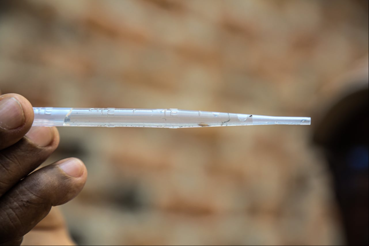 Dengue Valle