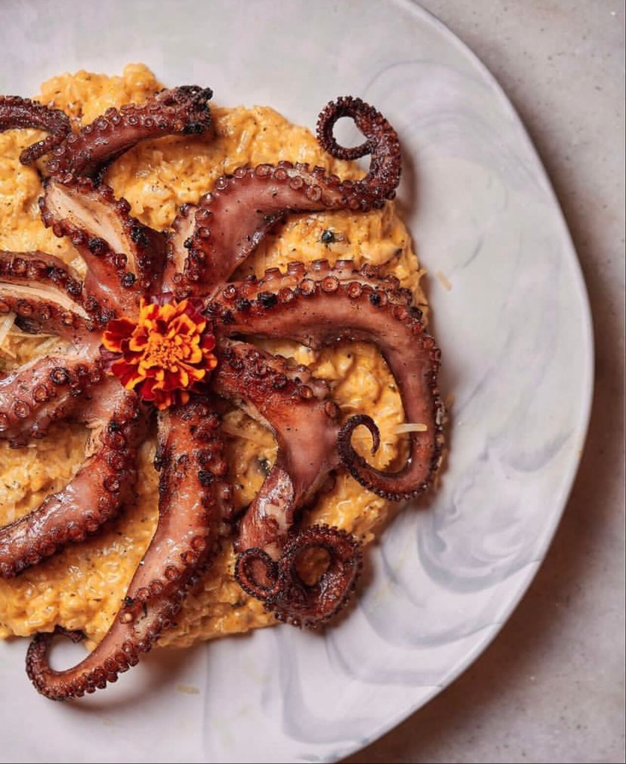 Volcán de pulpo, plato especial de restaurante Mar Peruano
