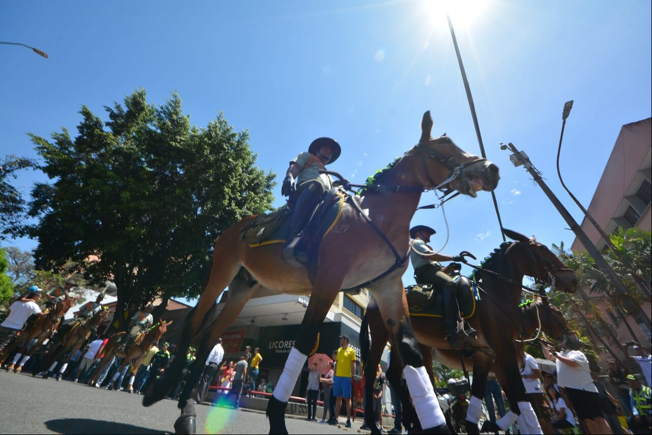 Así se llevó a cabo el desfile del 20 de julio de 2023 en Cali