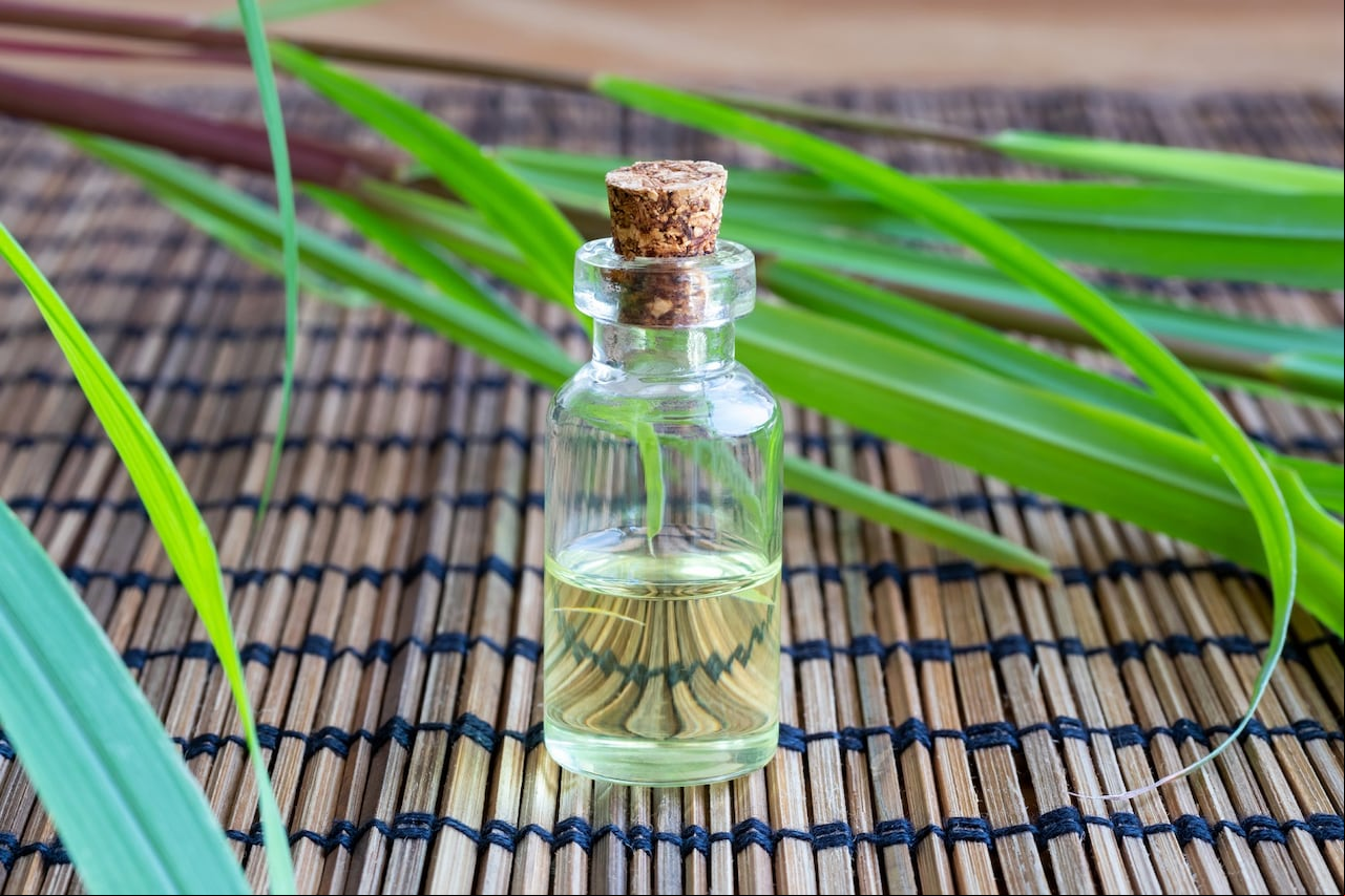 Aceite de citronela