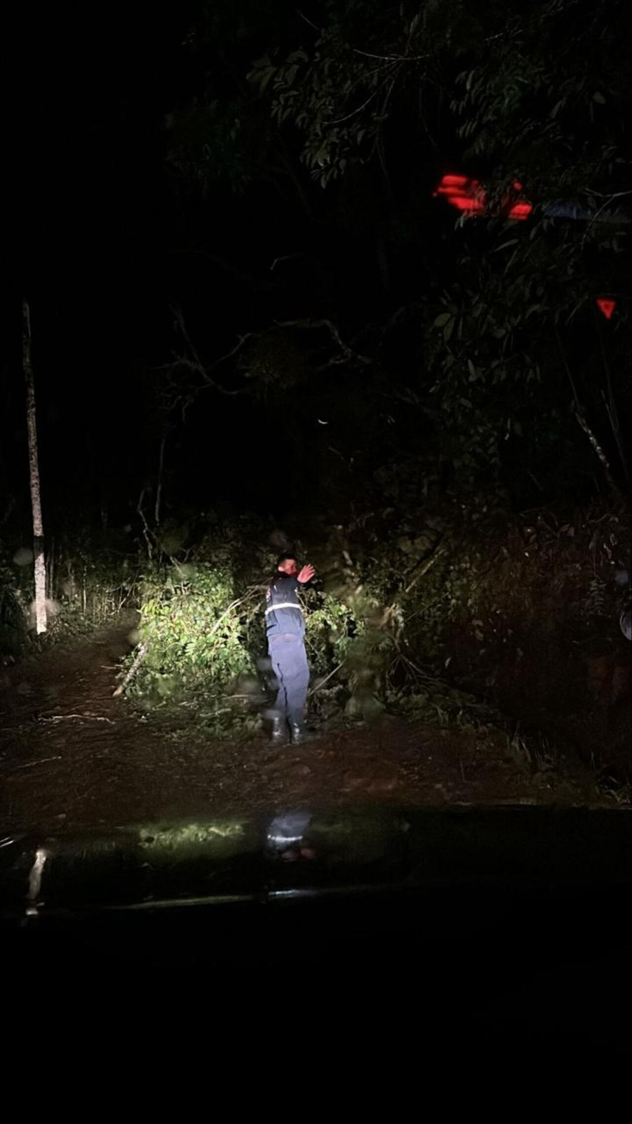 Un menor de 16 años murió este sábado 20 de abril tocar un árbol energizado que había caído la noche anterior con unos cables de la energía. Foto Especial para El País