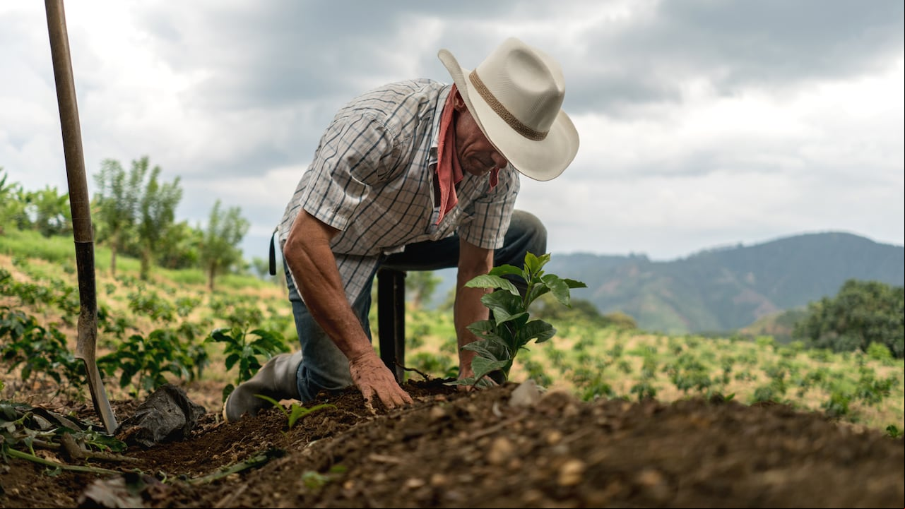 Foto de referencia de un campesino en Colombia trabajando la tierra