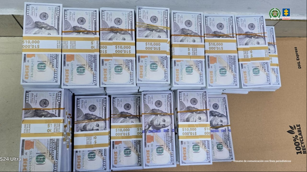 Los billetes fueron incautados por las autoridades. Había más de un millón de dólares.
