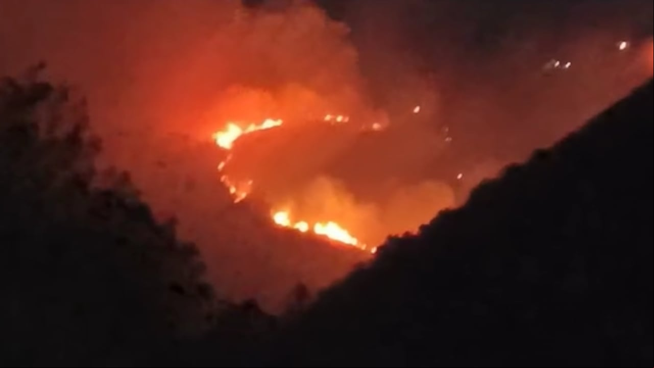 Más de 40 hectáreas se habrían consumido en Montañuela, zona rural de Roldanillo.