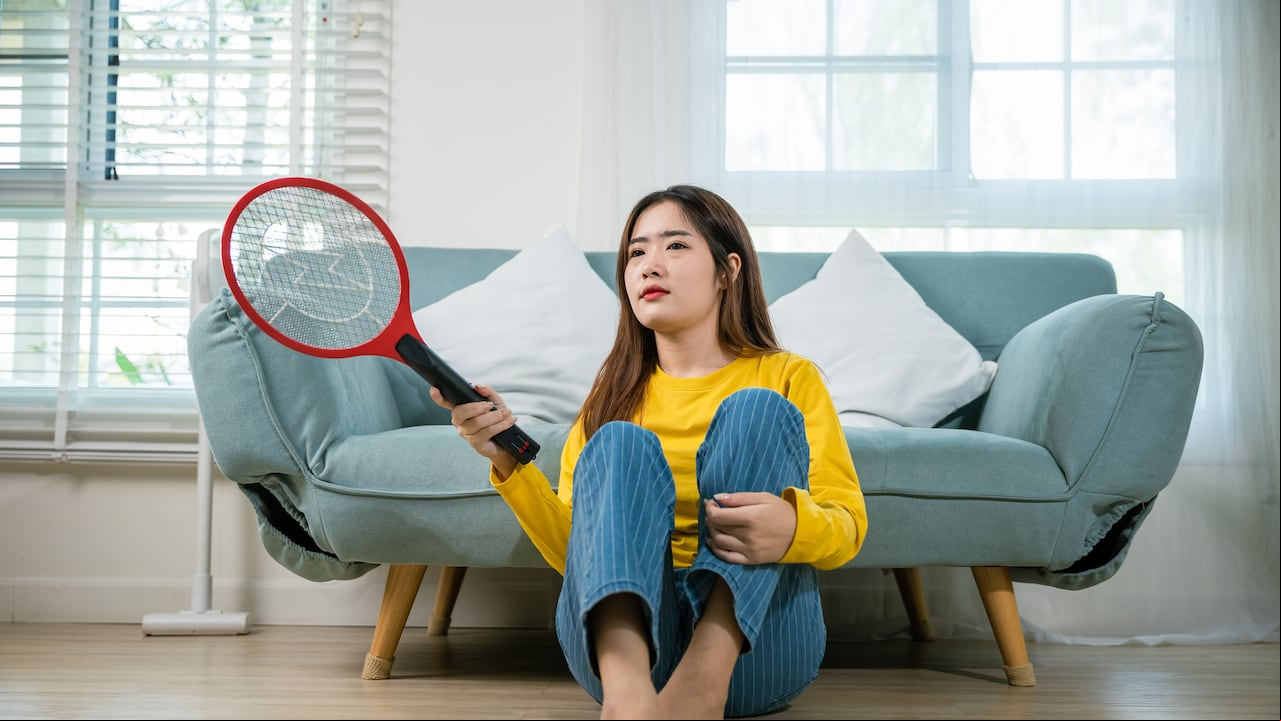 ¿Busca una solución sencilla para deshacerse de los mosquitos en su hogar? Conozca cómo el café puede convertirse en su aliado contra estos molestos insectos.