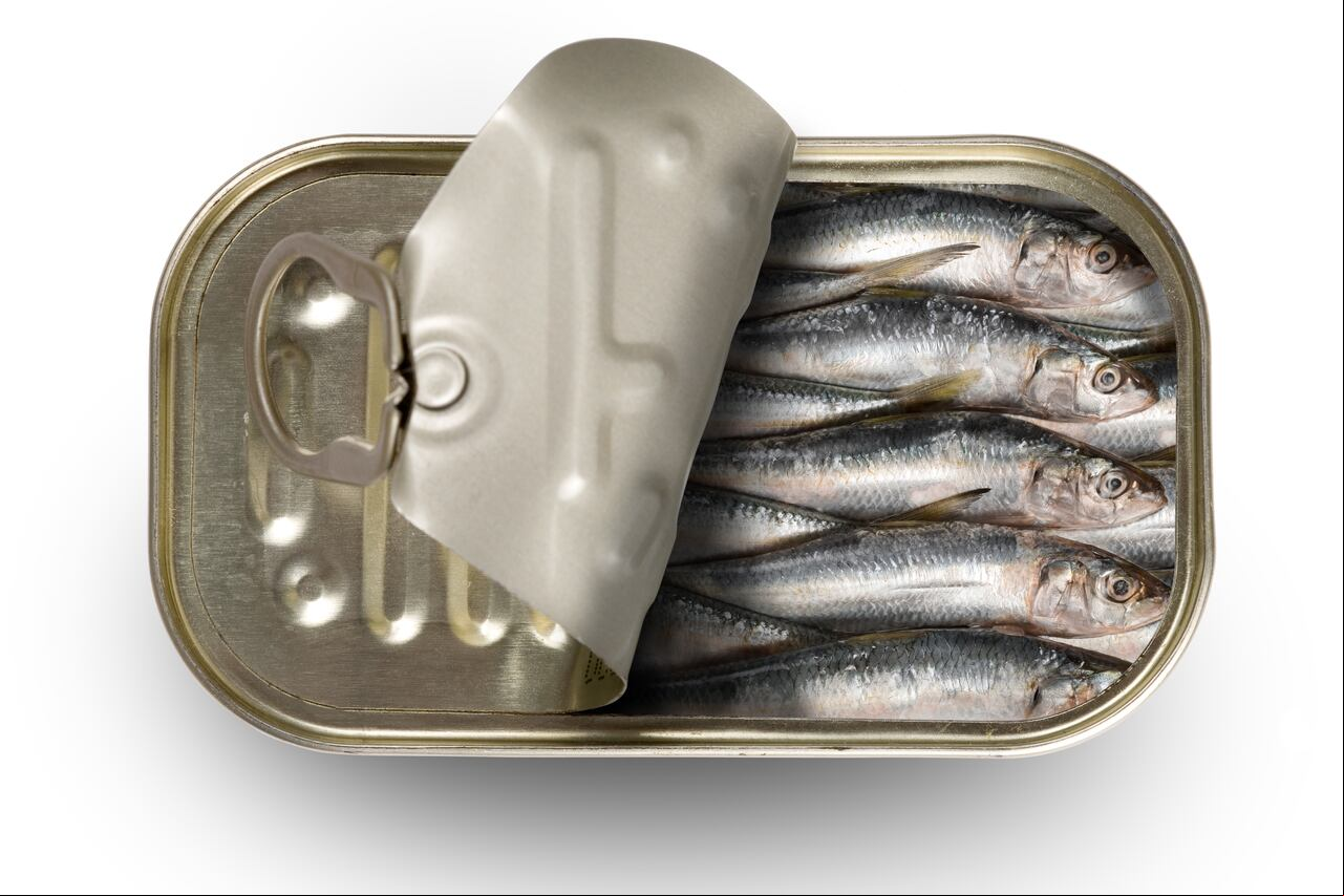Sardinas