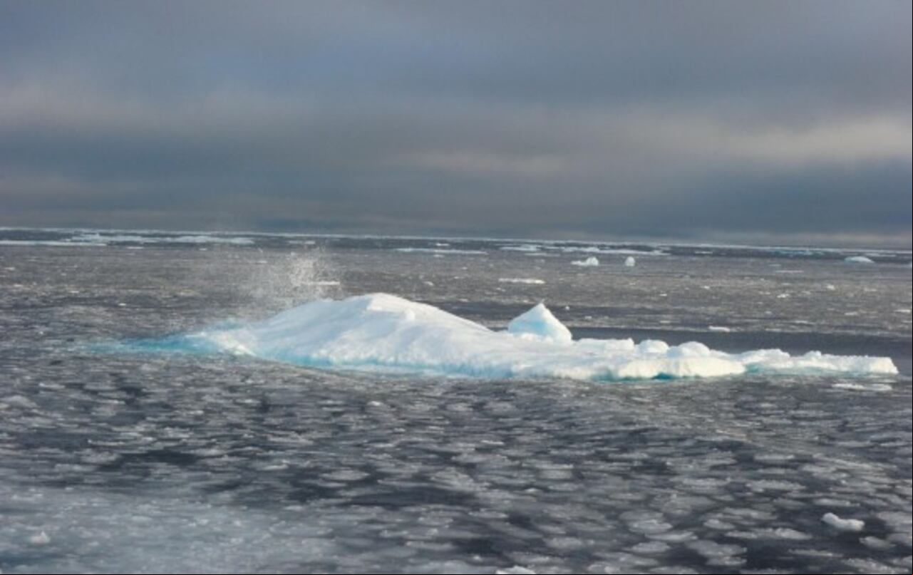 Trozos de hielo en el Pasaje del Noroeste cerca del CCGS Amundsen, un rompehielos de investigación canadiense que navega en el Alto Ártico canadiense. FOTO AFP
Trozos de hielo en el Pasaje del Noroeste cerca del CCGS Amundsen, un rompehielos de investigación canadiense que navega en el Alto Ártico canadiense. FOTO AFP