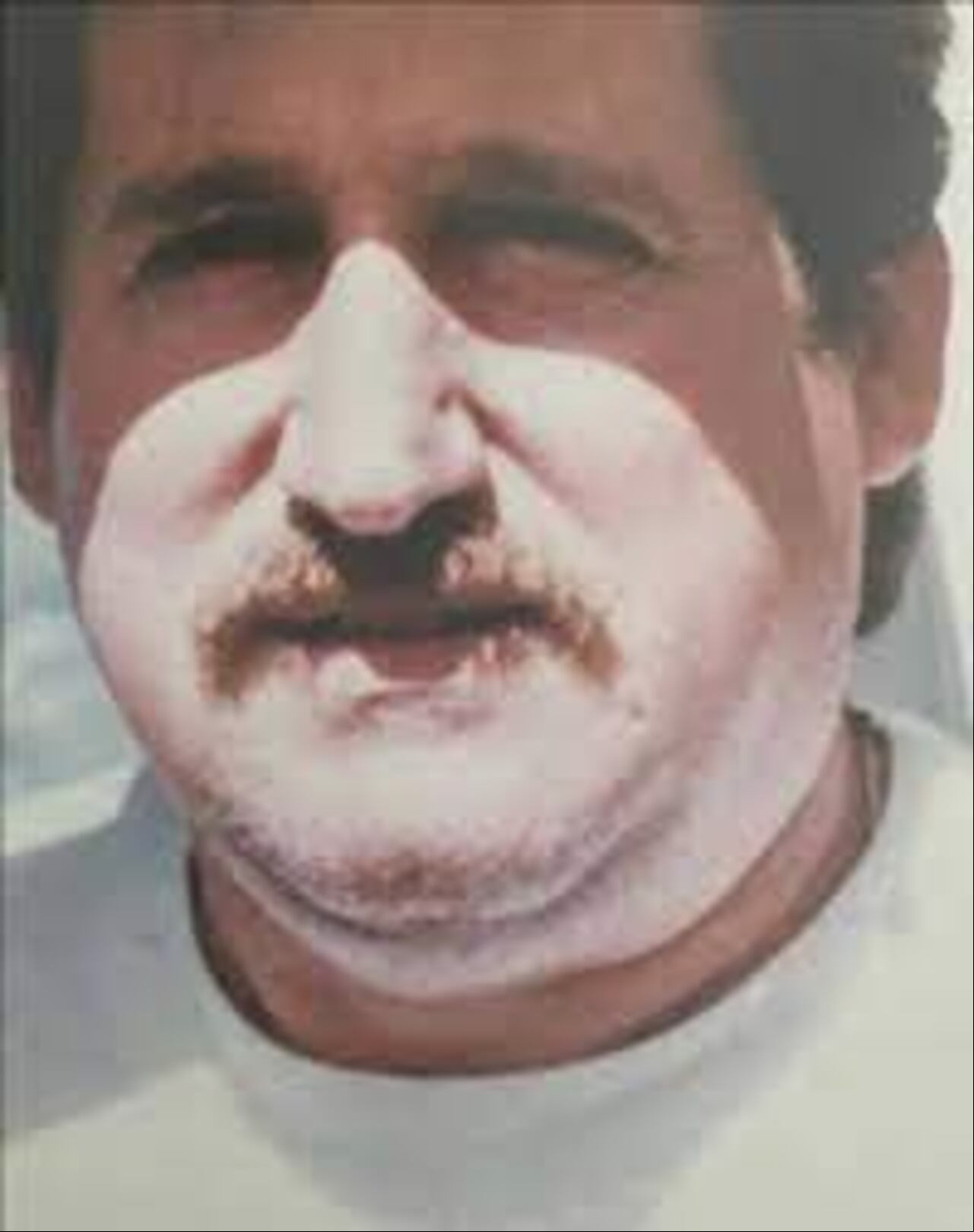 fanny lu el país