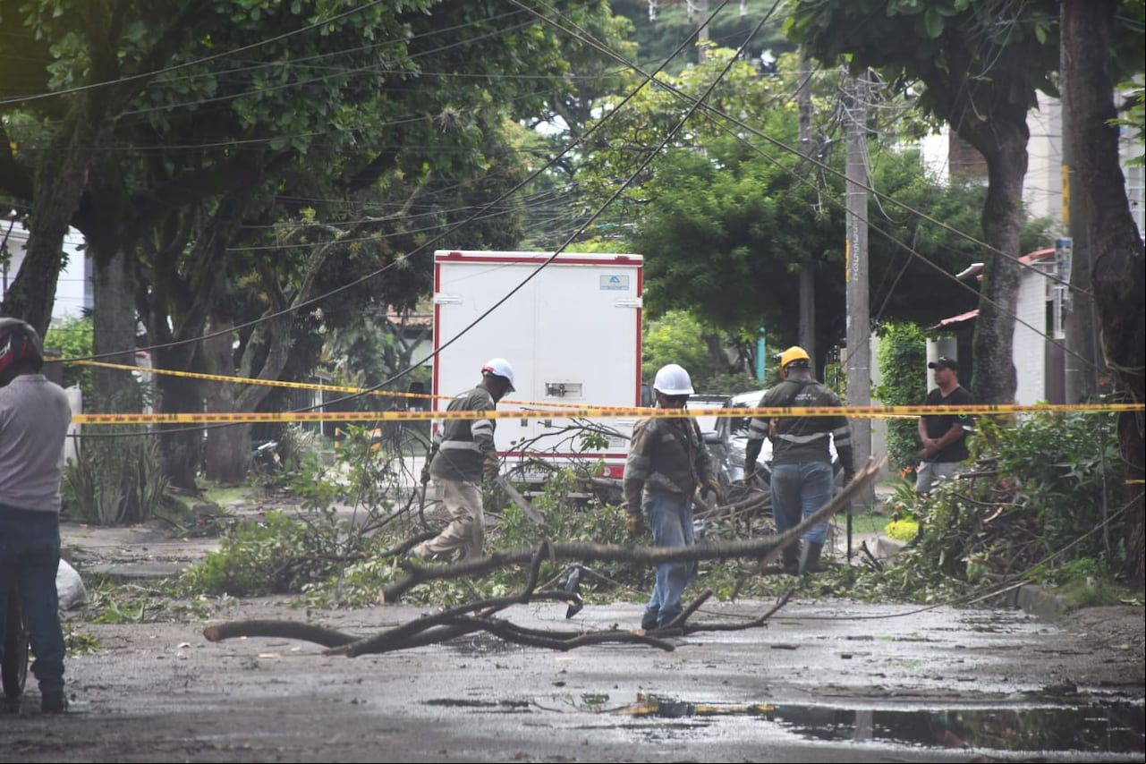 Emergencias con árboles caídos en el norte de la ciudad