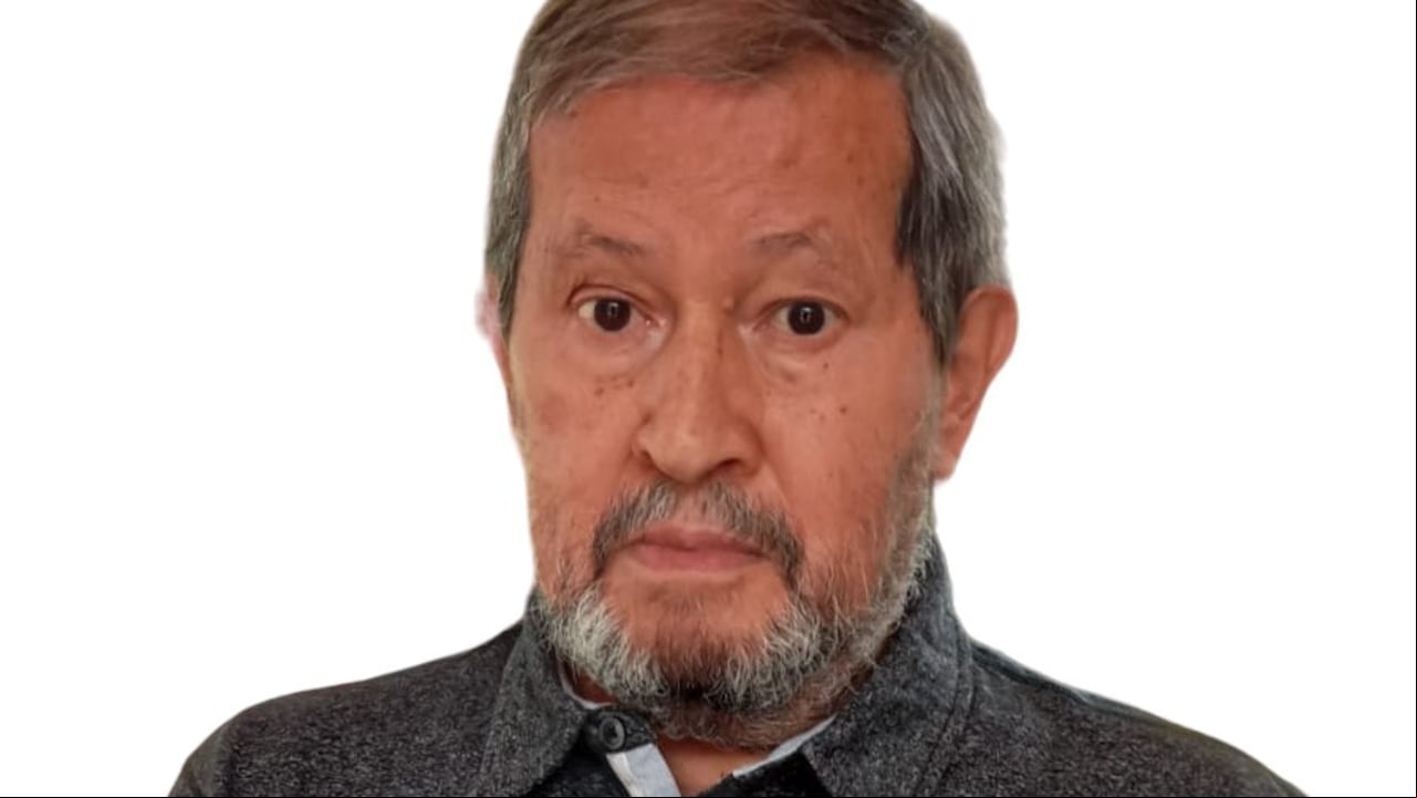 Angelino Garzón, columnista El País