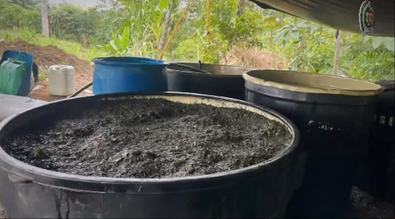 Policía destruye 33 laboratorios de coca en San Miguel, Putumayo