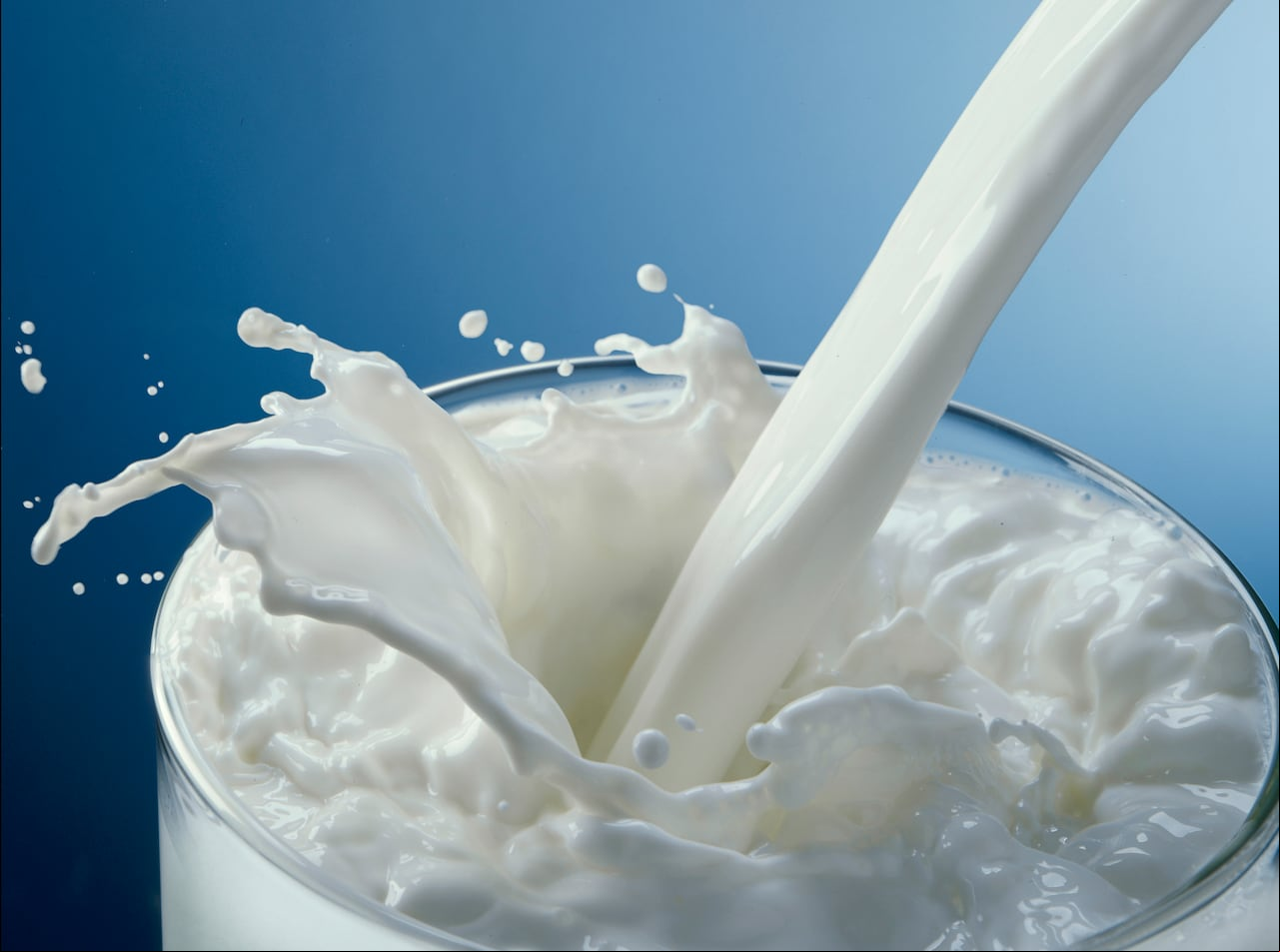 Foto de referencia sobre leche