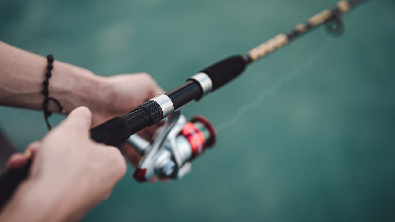 Pesca deportiva en Colombia: destinos imperdibles para los amantes de esta actividad