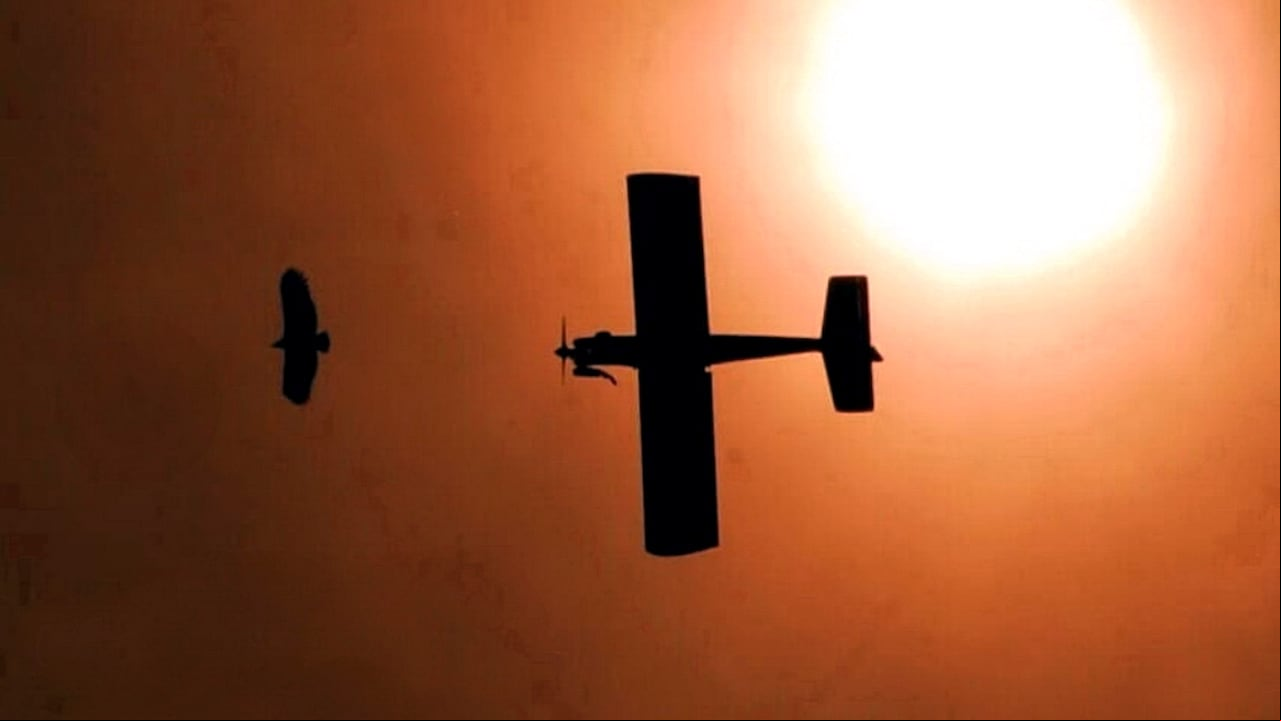 Desde el pasado 14 de mayo, la NASA, reportó una tormenta solar que chocará contra la Tierra. Esta actividad inusual, que consiste en la expulsión de material de la superficie del sol, llevó a la Aeronáutica Civil a advertir que podría haber cambios en los vuelos. Esta situación, se extendería hasta el 25 de mayo, aproximadamente. La NASA también advirtió que este fenómeno solar podría provocar apagones y cortes de radio e internet en la Tierra. Foto JORGE OROZCO.