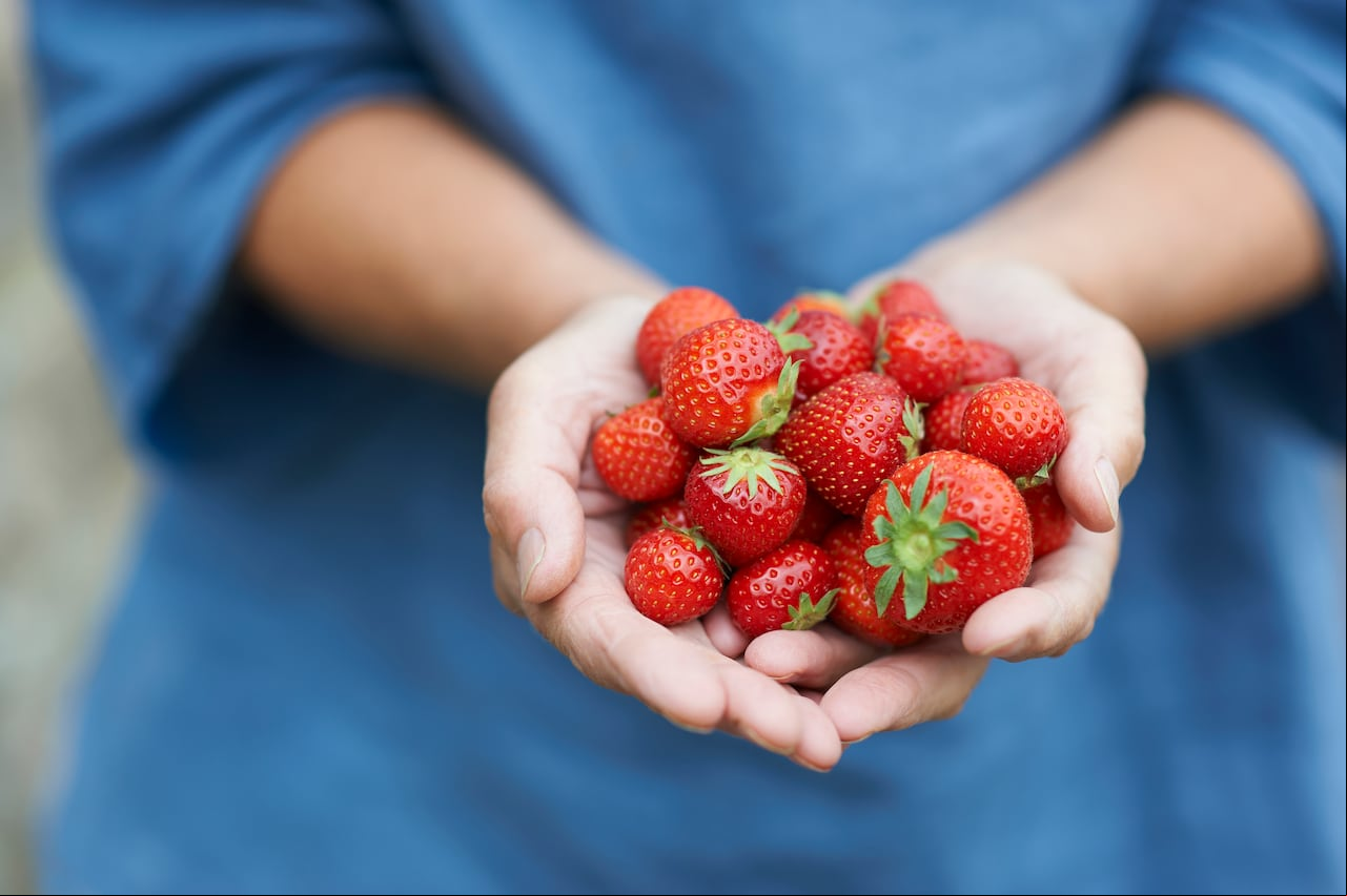 Fresas