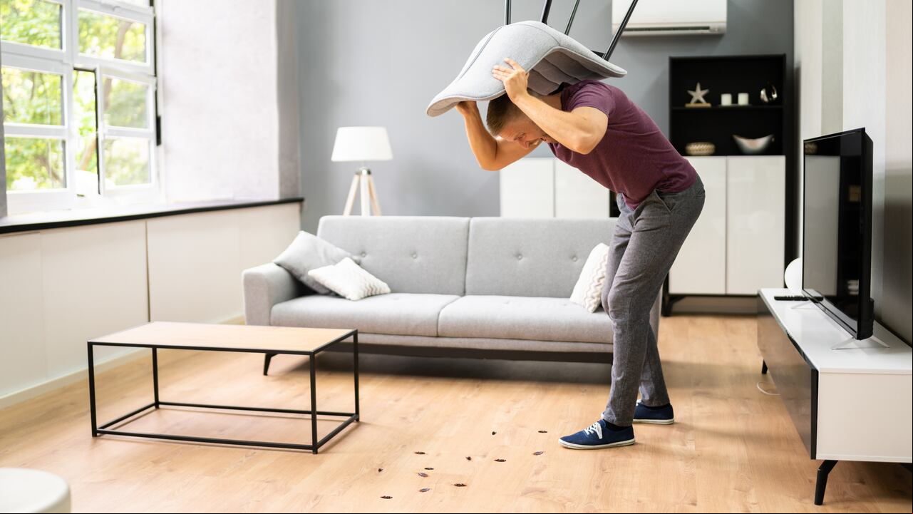 Descubra dónde colocar estas trampas para maximizar su impacto.