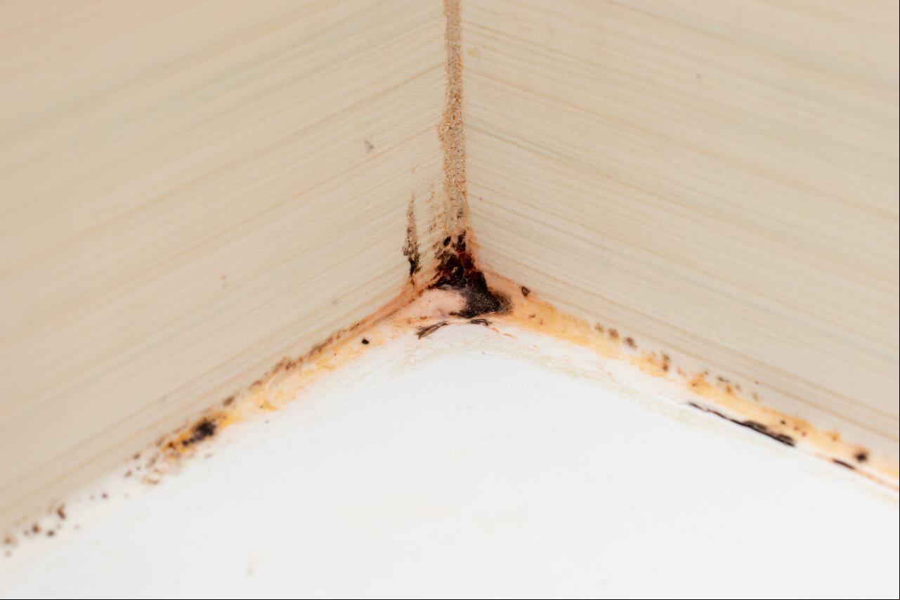 Descubra métodos simples y naturales para eliminar el moho y el óxido de los orificios de la ducha, mejorando la funcionalidad y la higiene de su baño.