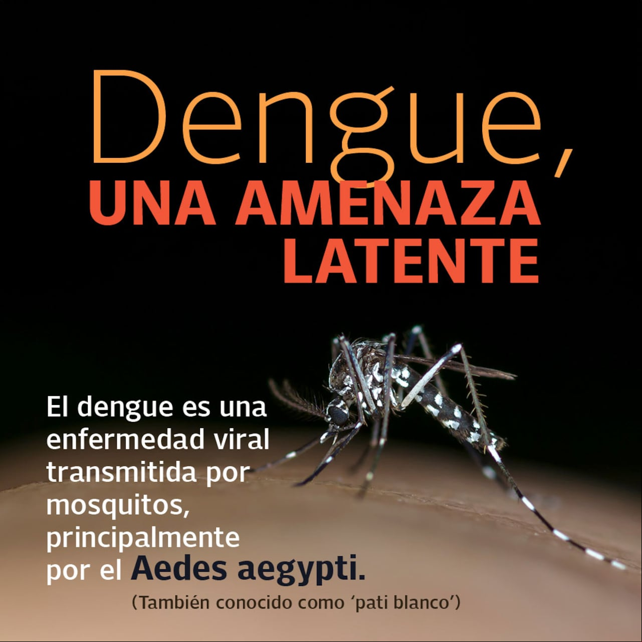 En caso de sangrado por la nariz, al lavarse los dientes o manchas en la piel, o dolor intenso en el estómago debe ir a un centro asistencial inmediata