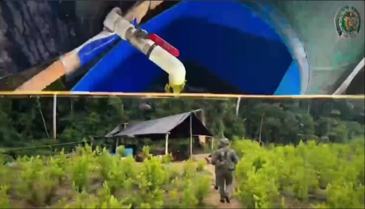 Policía destruye 33 laboratorios de coca en San Miguel, Putumayo