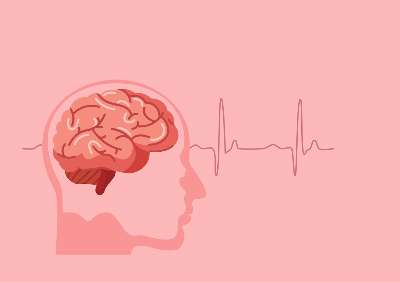 Foto de referencia sobre el cerebro