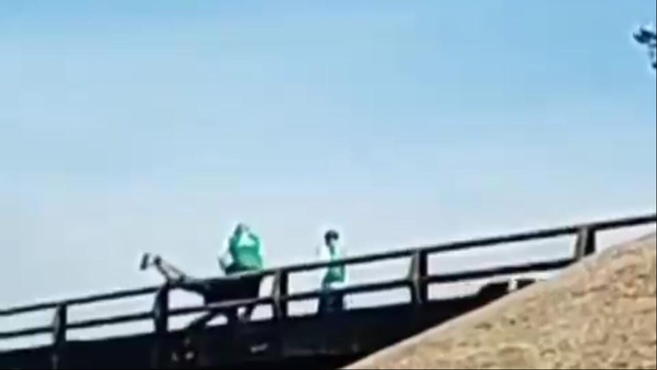 Este fue el momento en el que los promotores lograron evitar que la persona saltara del puente.