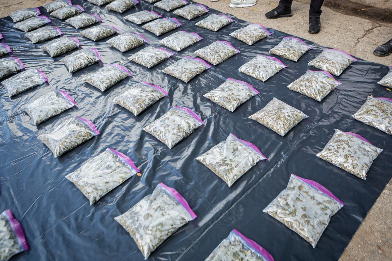 Los grupos armados al margen de la ley, como las disidencias de las Farc, se benefician económicamente del tráfico de marihuana y demás alcaloides.