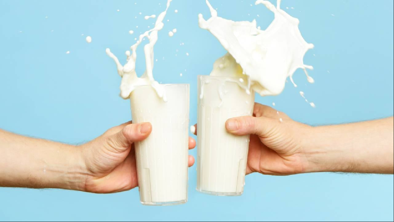 Expertos en nutrición señalan que hay productos lácteos con bajo contenido calórico. Foto: Getty images.