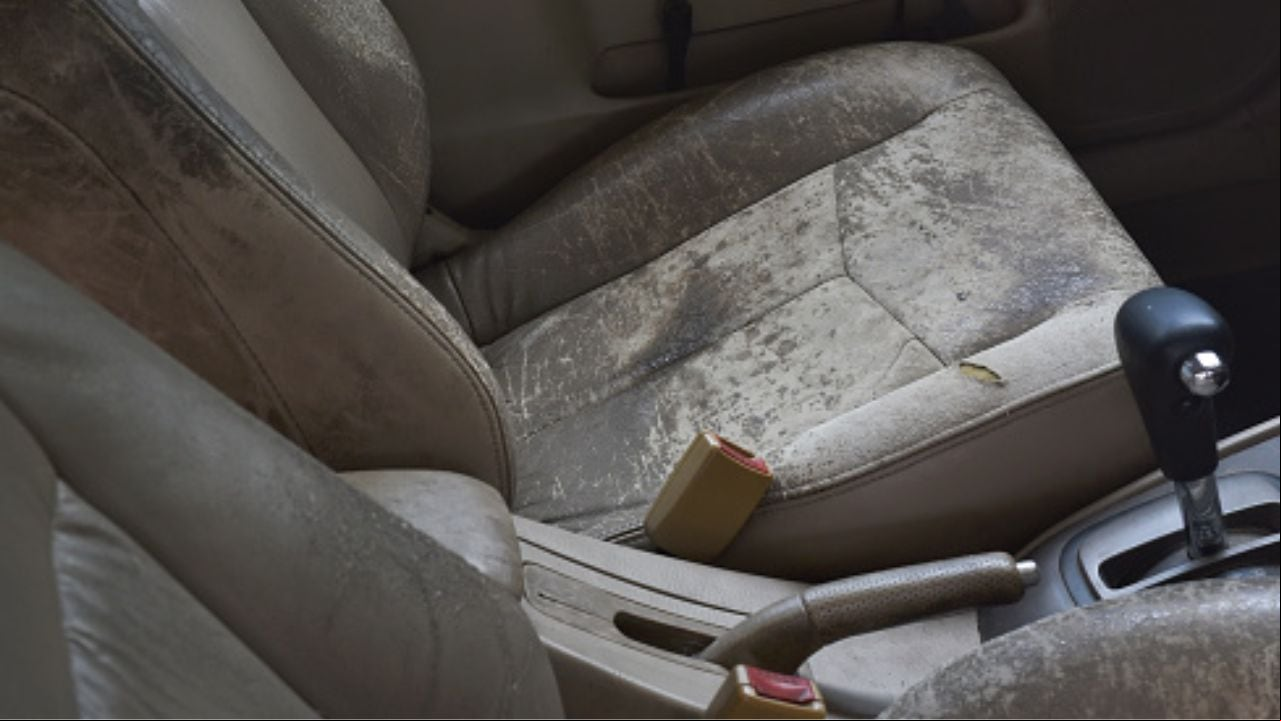 Tapicería del carro