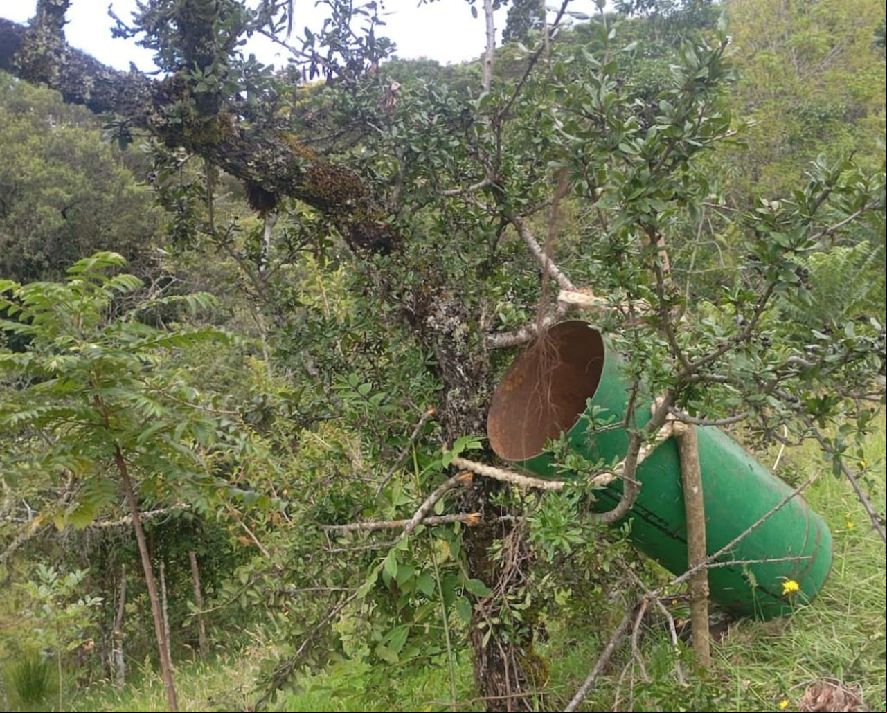 Los disidentes de las Farc usaron los arbustos para crear con los cilindros especies de plataformas de lanzamiento, como fue comprobado por la fuerza pública.