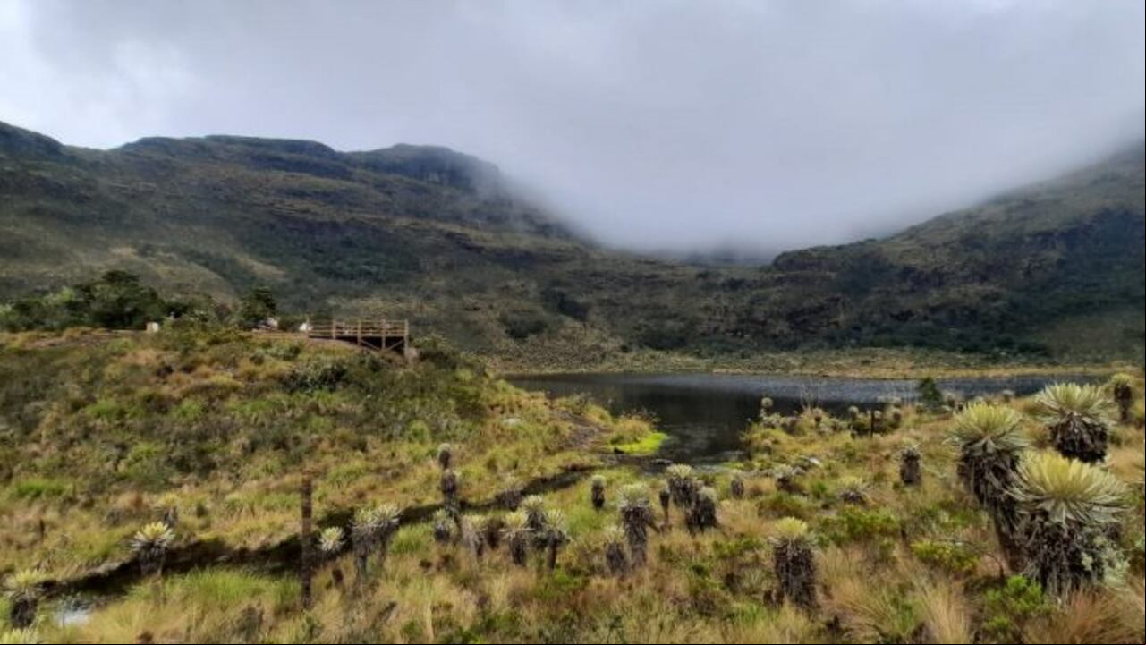 Con un área de 6.889 hectáreas, distribuidas entre los municipios de Villa de Leyva, Arcabuco y Chíquiza, este parque natural es la fuente hídrica más importante del territorio y un destino reconocido para el ecoturismo.