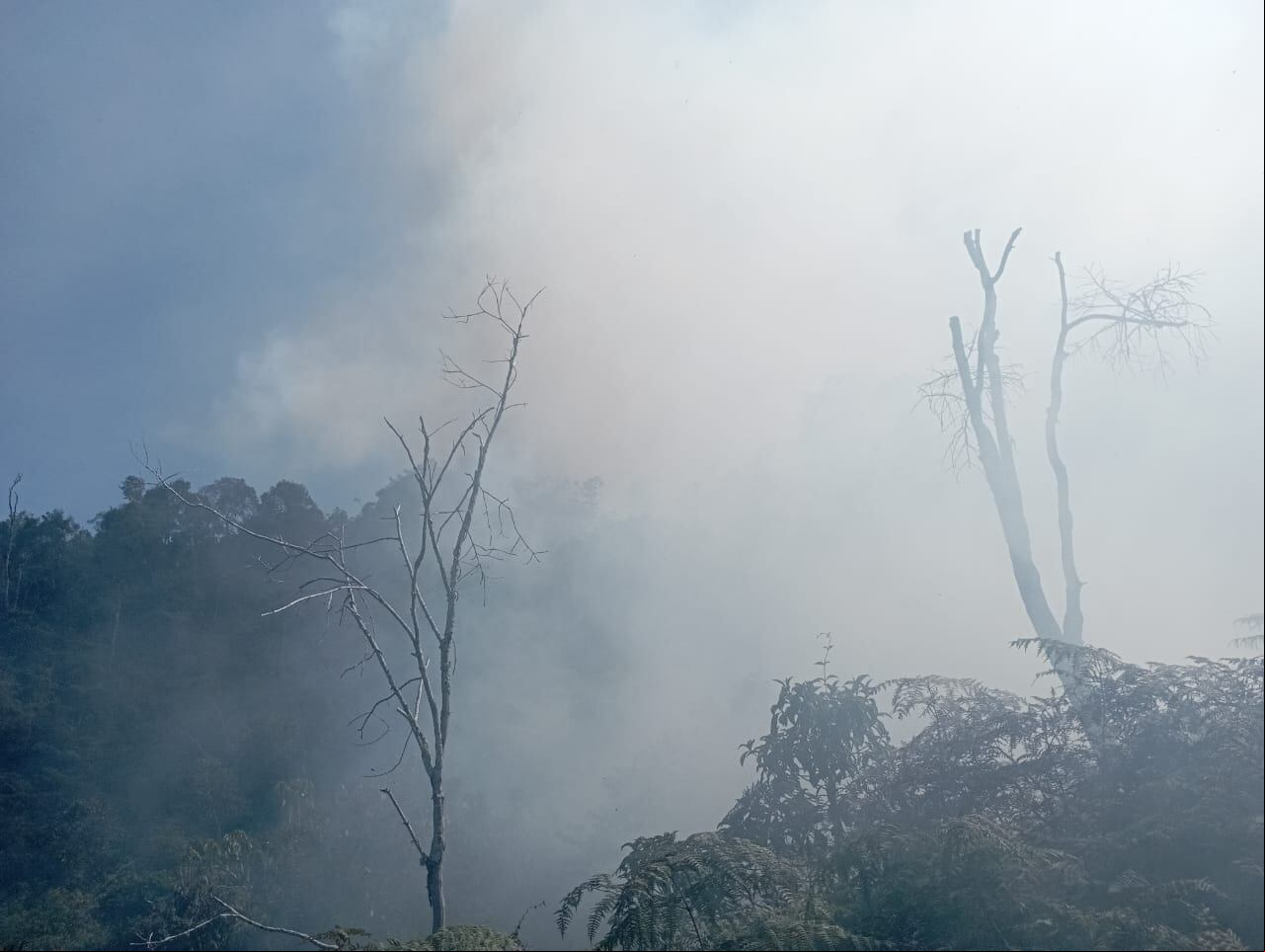 Altas temperaturas generan emergencias en municipios de Antioquia