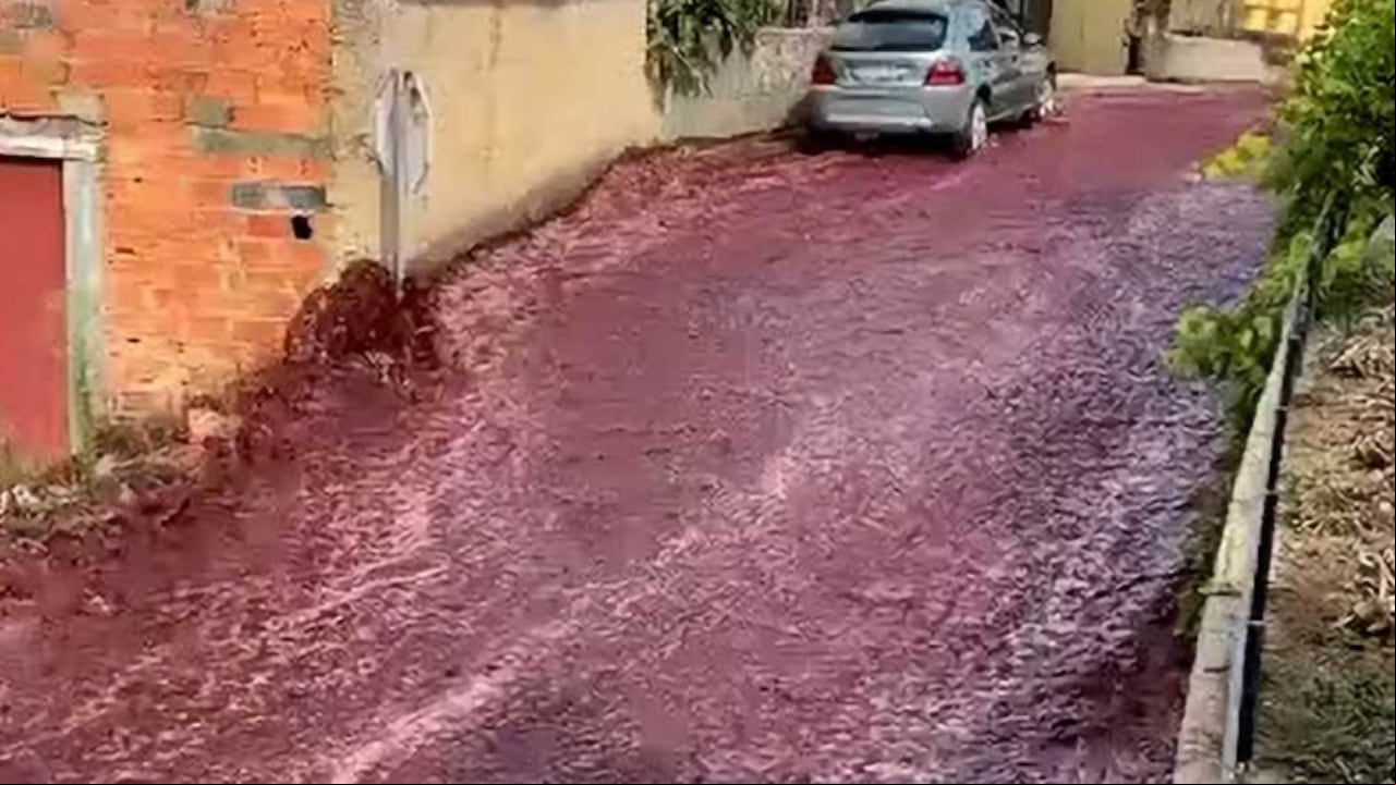 Río de vino Portugal. Foto: Captura de pantalla Youtube @sentinelasentinelamundial.
