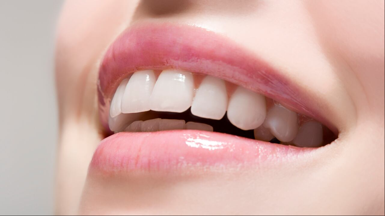 Foto de referencia sobre dentadura
