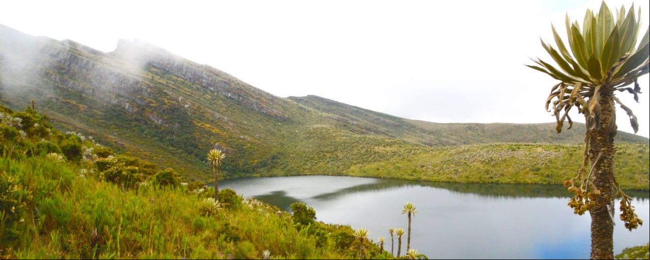 Cinco Parques Naturales de Colombia para visitar en 2025: ¿qué planes hacer?