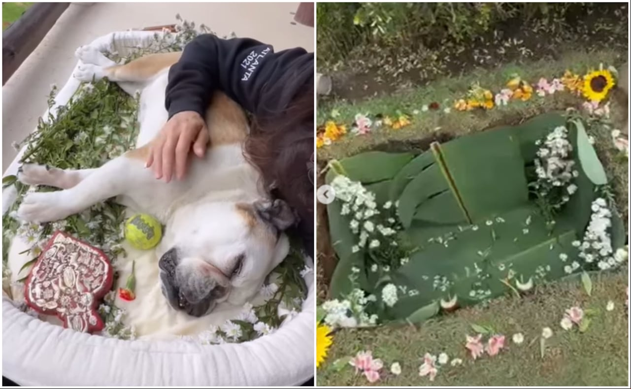 Eugenio Derbez despidió a su mascota 'Fiona', quien falleció recientemente.