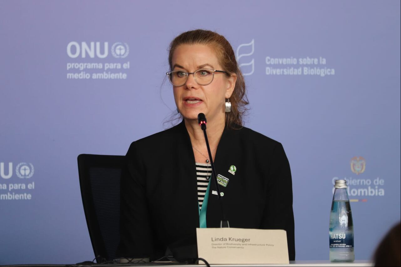 COP16 empresas