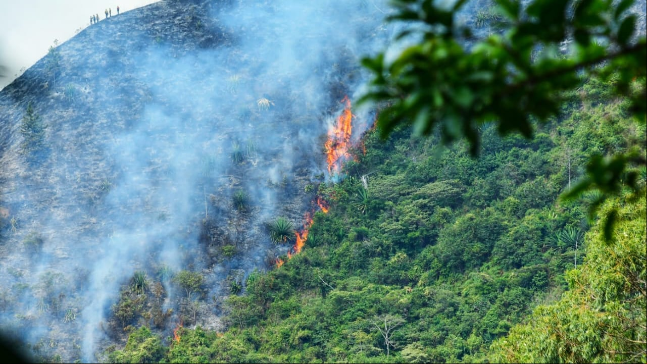 Parte de la vegetación ha sido consumida por un incendio que se registra desde horas de la mañana de este jueves.
