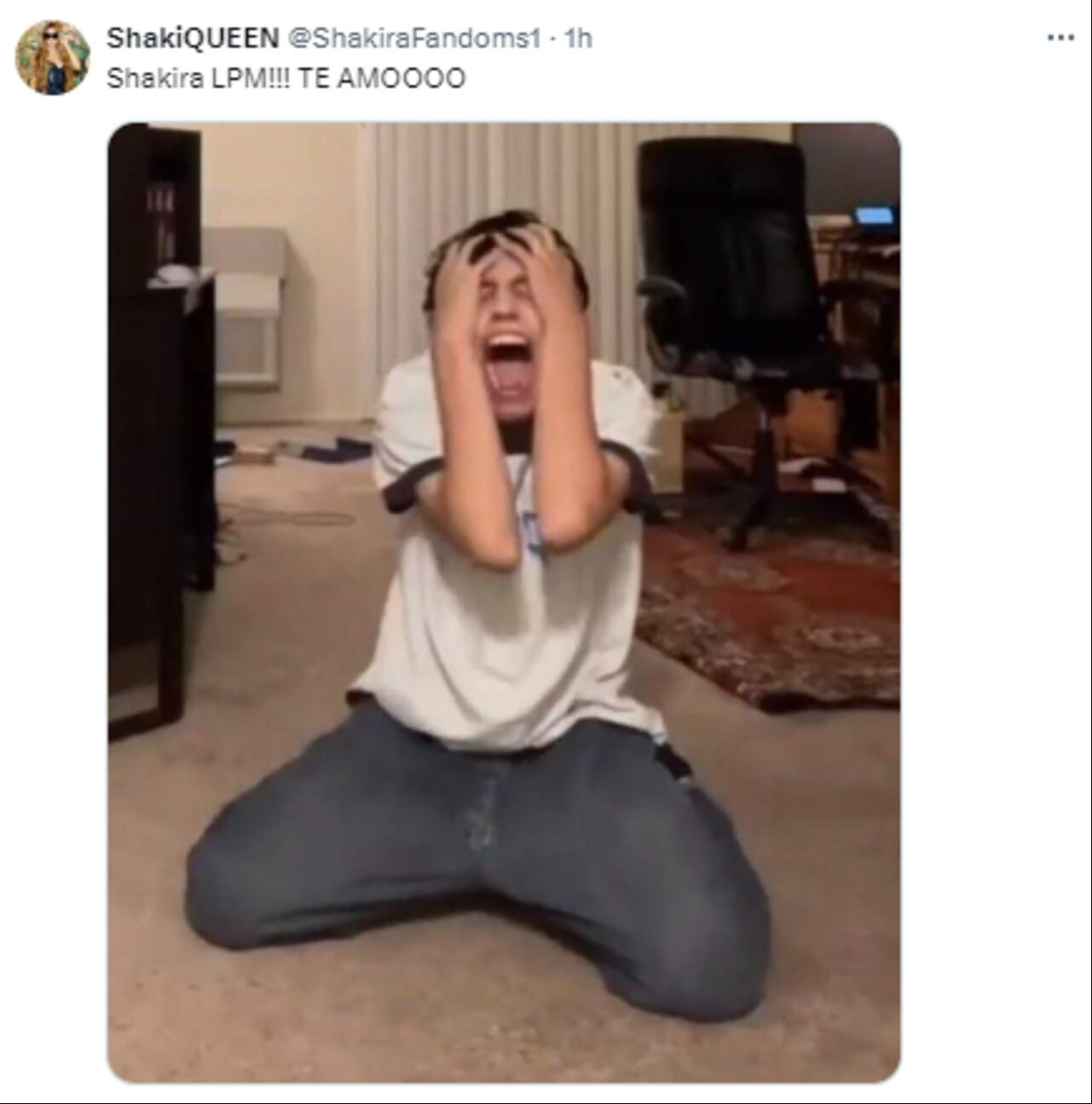 Los internautas publicaron divertidos memes sobre el lanzamiento de su álbum.