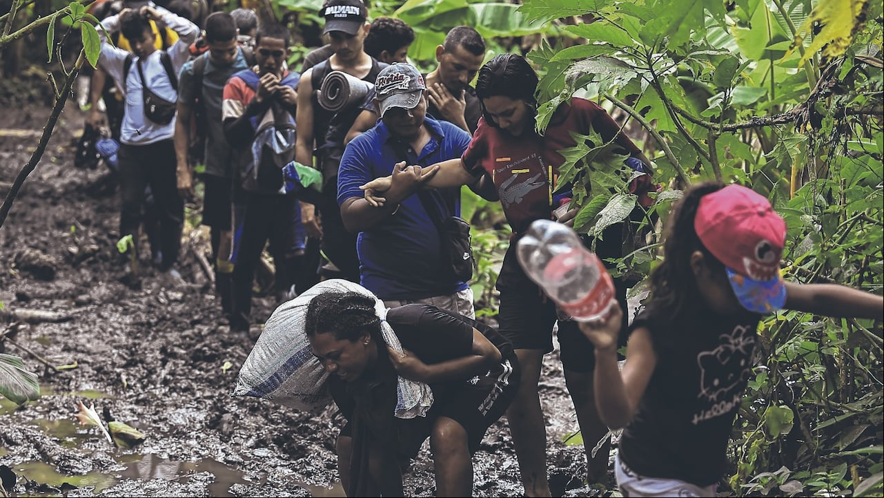 Crisis humanitaria. Entre US$100 y US$1500 dólares deben pagar los migrantes a quienes les prestaran sus servicio como coyotes o como guias para alcanzar la metra de llegar a Panamá. El recorrido por entre la selva, el barro y los ríos puede tardar entre cinco días hasta dos y más semanas.
FOTOS: AFP / EL PAÍS