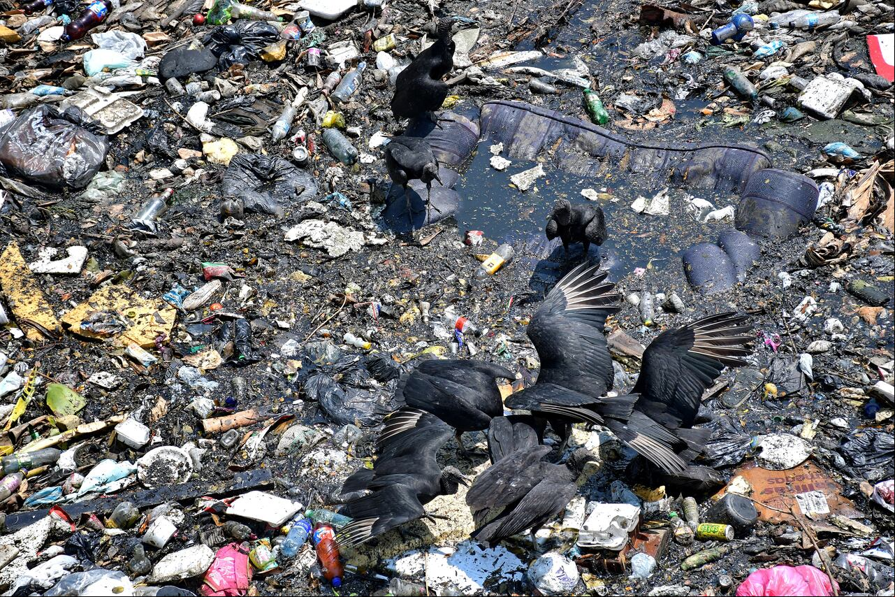 Esto se vive en el caño de aguas lluvias en el sector de cauquita en el oriente de Cali con toneladas de basura acumuladas tras las lluvias del fin de semana.
Fotos Raúl Palacios / El Pais.