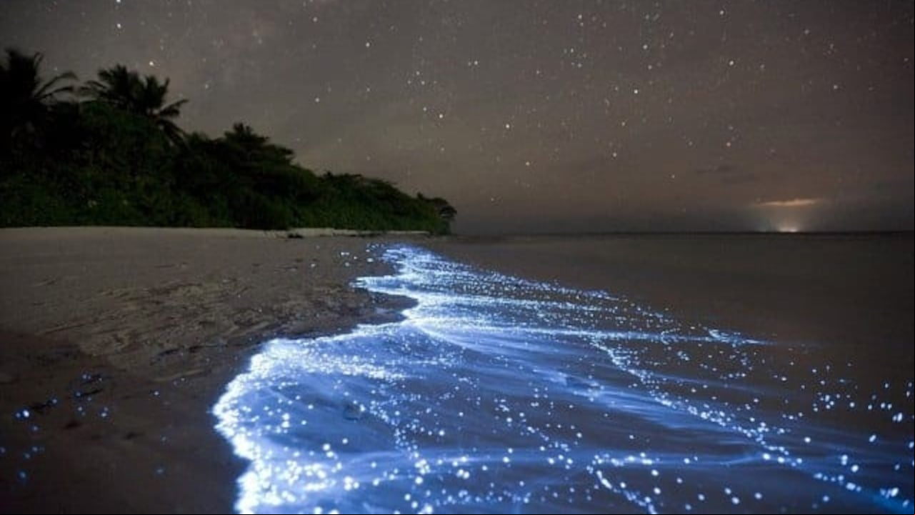 Laguna Encantada, Islas del Rosario de noche