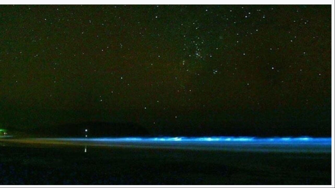 El fenómeno de las playas bioluminiscentes atrae a cientos de turistas