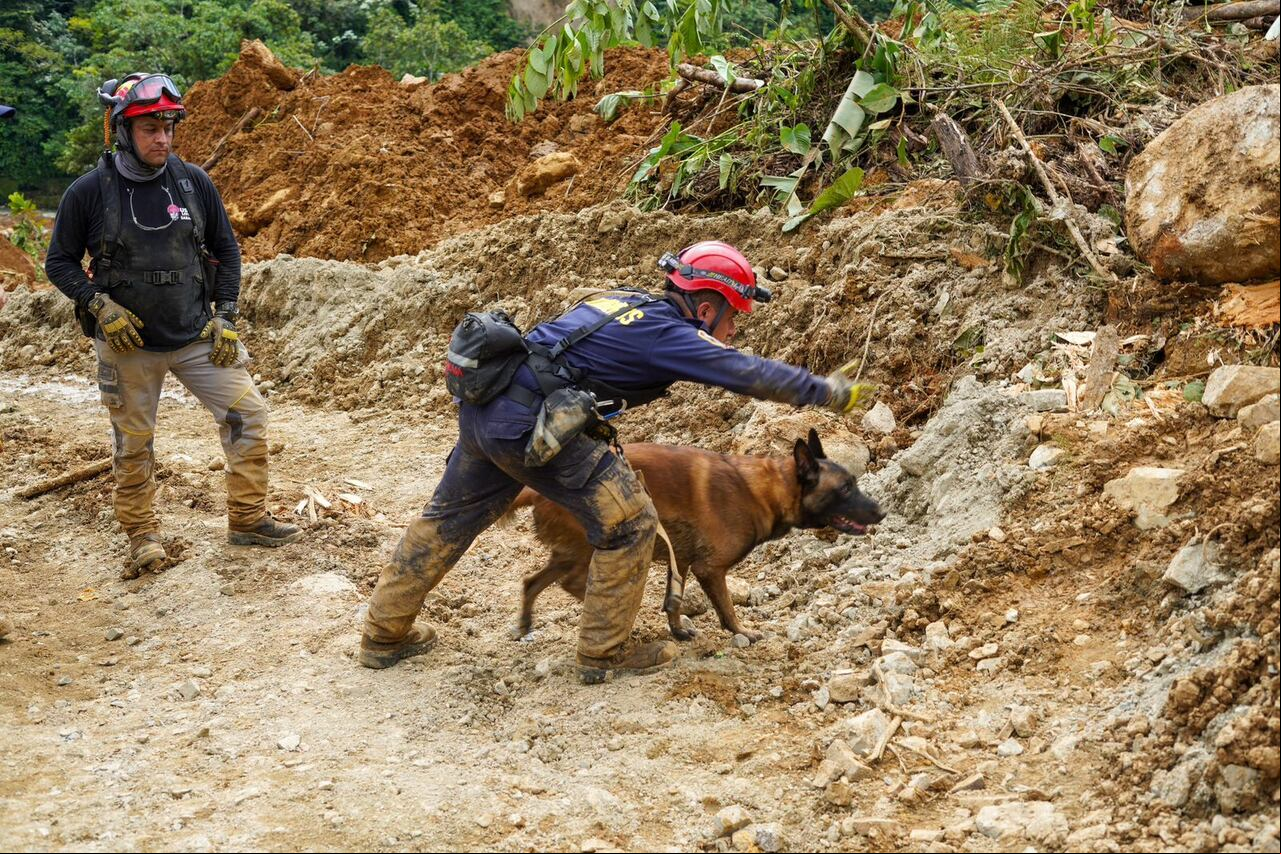 La tragedia ya deja más de 30 personas muertas.