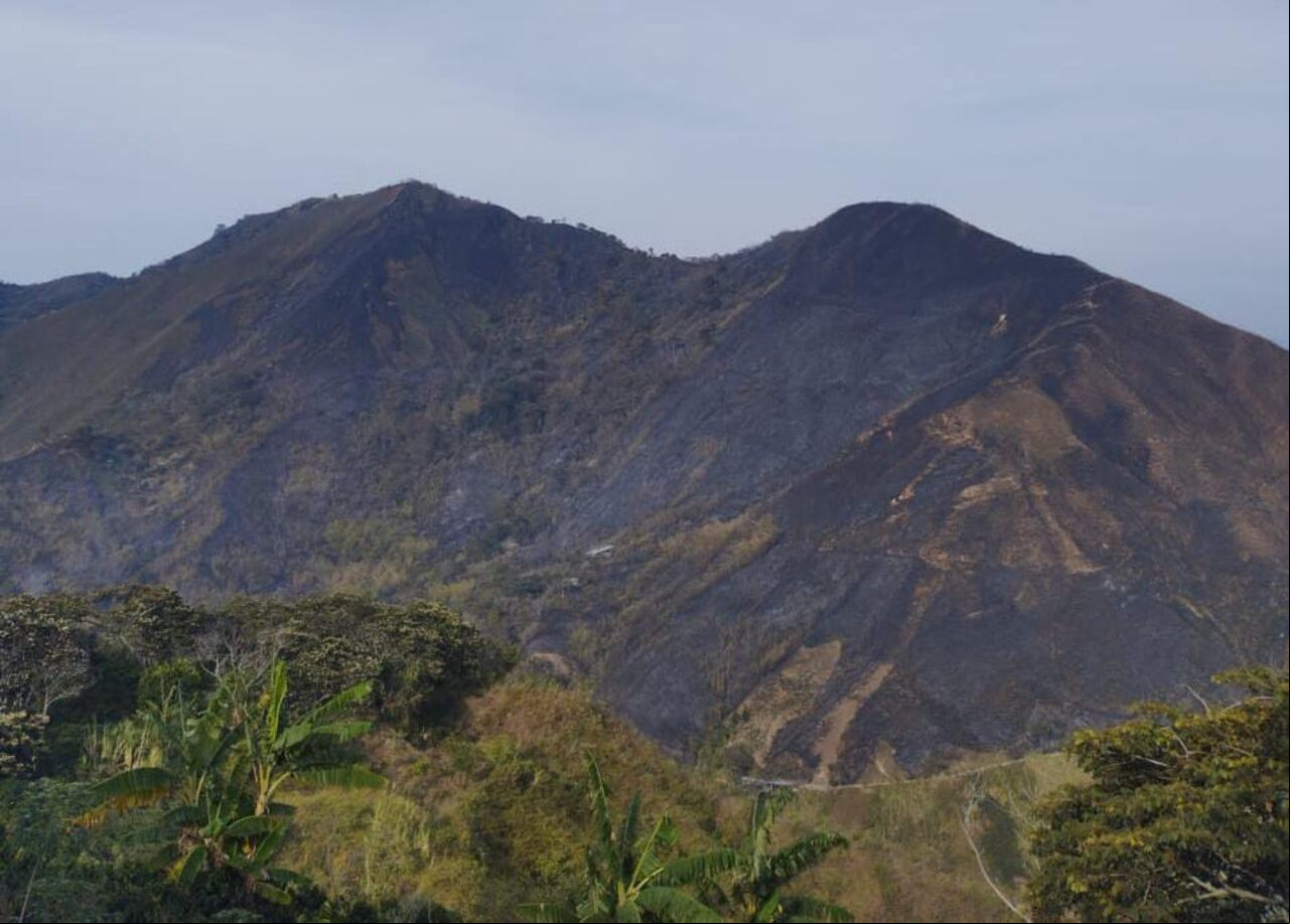 Así quedaron las montañas de esta parte del Macizo Colombiano tras registrarse un gigantesco incendio forestal que se presentó en la zona rural del municipio de La Vega, Cauca.