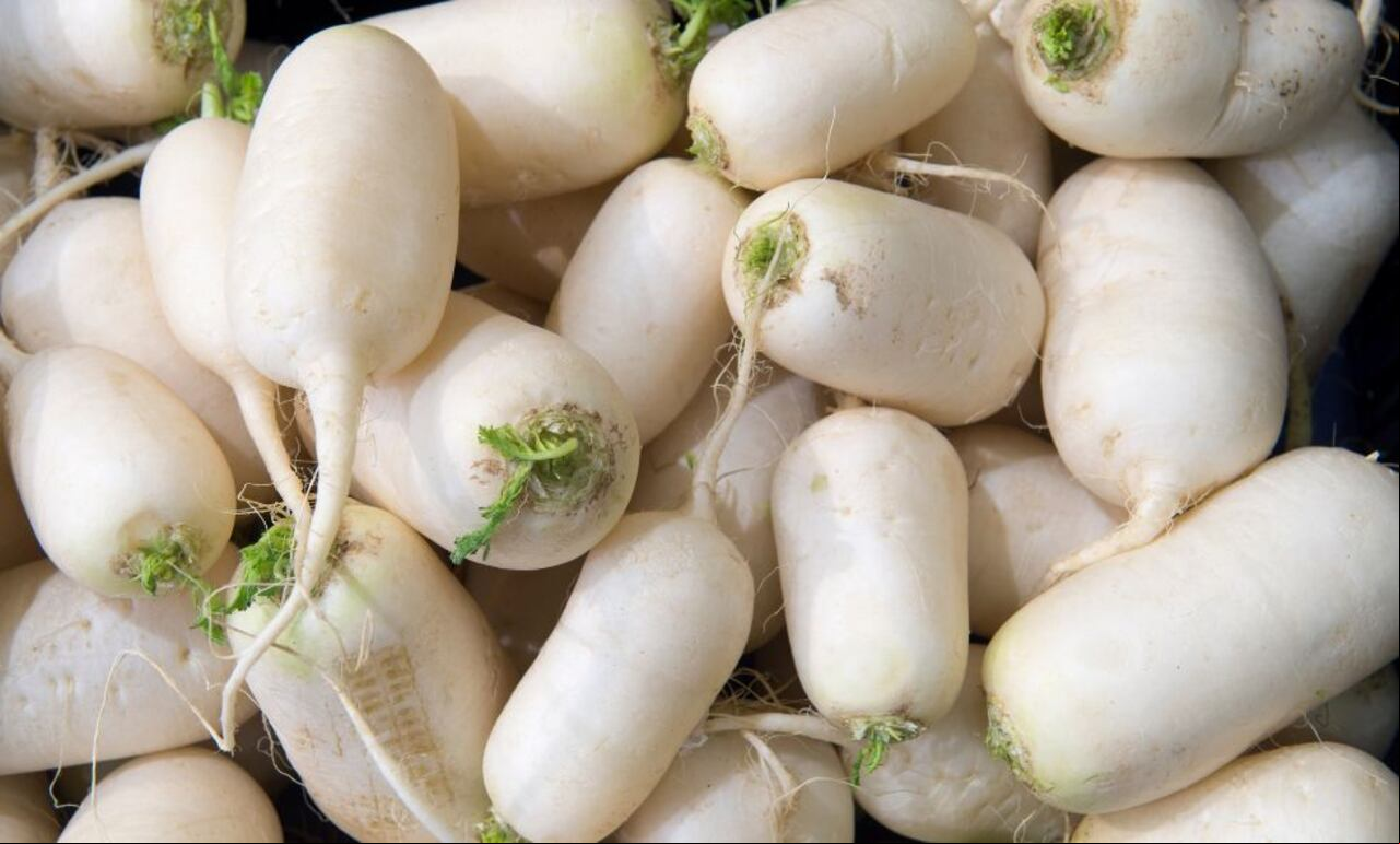 Con su alto contenido de fibra, vitaminas y minerales, el nabo es una adición bienvenida a cualquier dieta equilibrada.