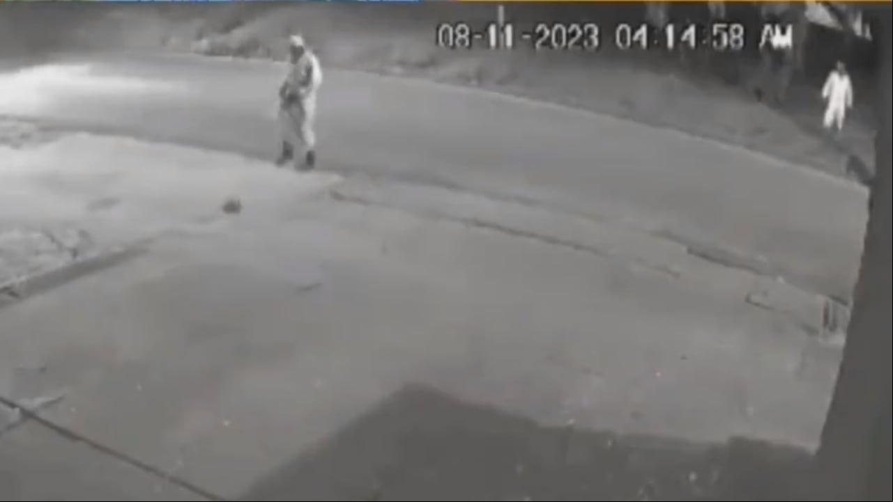 Trabajadores de Promovalle maltratan y matan a golpes a zarigüeya.