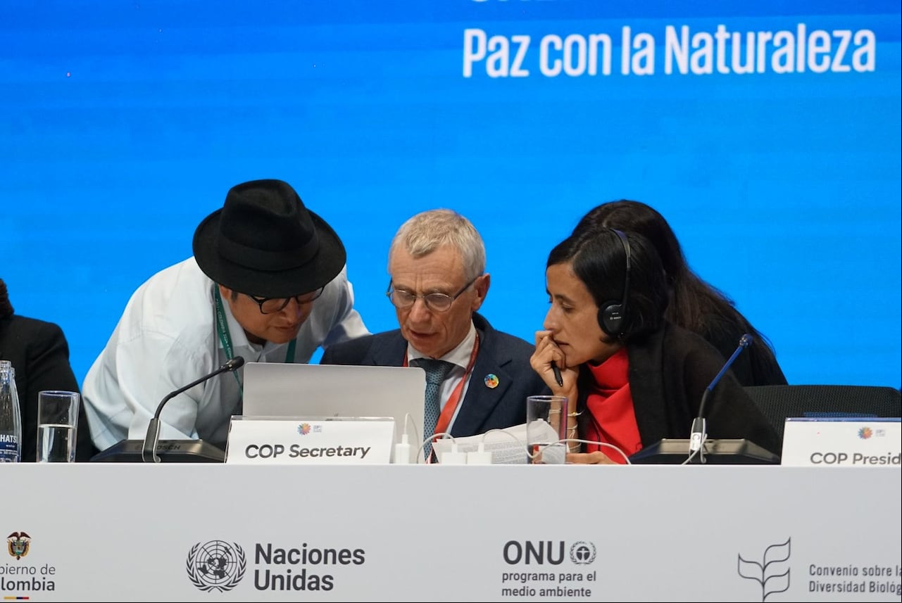 Las últimas horas de la COP16 serán cruciales para definir algunos otros puntos, como el reparto justo de los beneficios derivados de los recursos genéticos y el financiamiento.