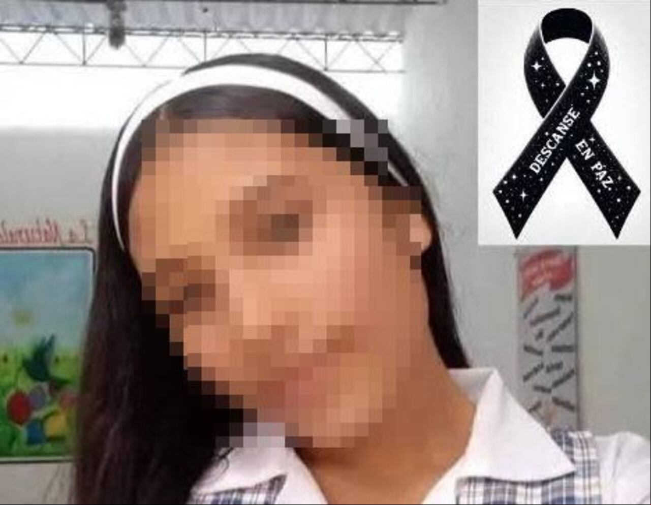 Mauren Alejandra Ulchur Candela estudiaba en el Instituto Técnico Agrícola del municipio de La Plata, del cual desertó para después ser reclutada por las disidencias de las Farc.