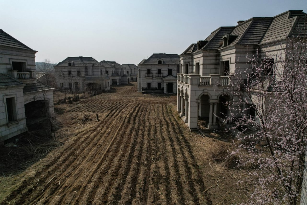 El ganado deambula entre las estructuras de hormigón de las mansiones a medio terminar en el noreste de China, algunos de los únicos ocupantes de un complejo de lujo cuyas terrazas en ruinas y arcos cubiertos de maleza son símbolos crudos de un mercado inmobiliario paralizado por su propio exceso. (Photo by Jade GAO / AFP) / TO GO WITH China-economy-housing, PHOTOESSAY