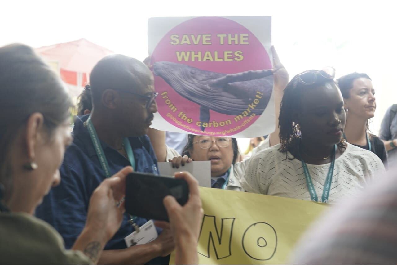 Manifestantes en la Zona Azul de la COP16 piden soluciones reales para proteger la biodiversidad.